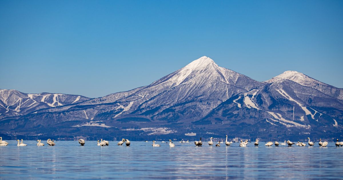 猪苗代湖を望む